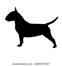 Bull terrier from the side Dog breeds. Silhouette. Vector