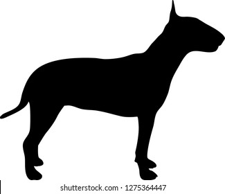 Bull terrier silhouette in black