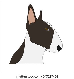 Bull Terrier Vector