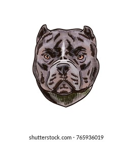 Bull terrier vector drawing illustration