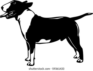 Bull Terrier Vector Illustration