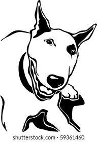 Bull Terrier Vector Illustration