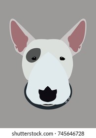 Bull terrier vector illustration.