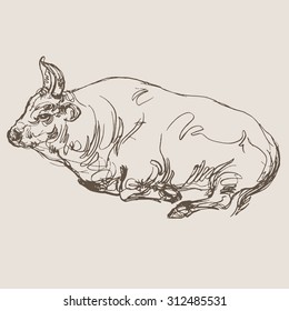 bull vector, hand draw sketch