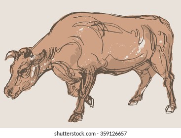 bull vector, hand draw sketch 