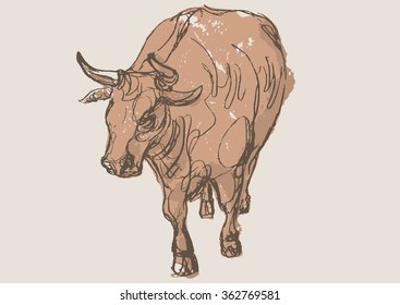 bull vector, hand draw sketch 