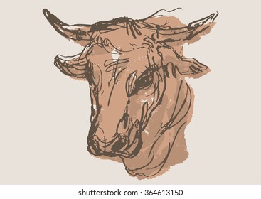 bull vector, hand draw sketch 