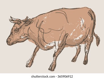 bull vector, hand draw sketch 