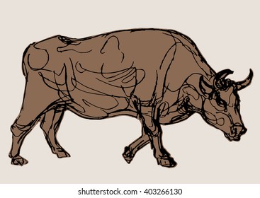 bull vector, hand draw sketch 