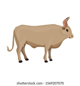 Bull vector icon.Cartoon vector icon isolated on white background bull.