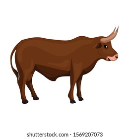 Bull vector icon.Cartoon vector icon isolated on white background bull.