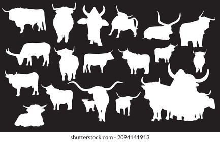 conjunto de diseño de ilustraciones vectoriales de toro