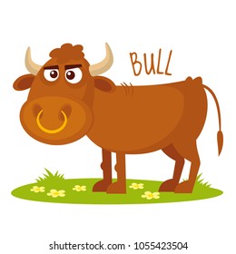 Bull Vector illustration isolated
