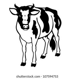  bull ,vector image, black and white  picture  isolated on white background,standing farm animal