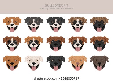 Clipart Bullboxer Pit. Boxer cão americano Pit bull terrier mix. Diferentes cores de casaco definido.  Ilustração vetorial