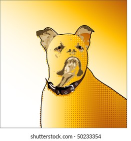 Bulldog