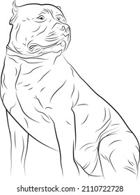 Bulldog American bully Stand Lineart