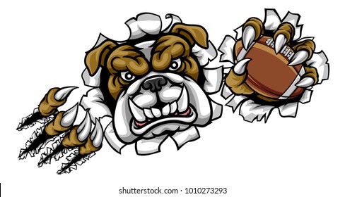 A bulldog angry animal sports mascot holding an American football ball and breaking through the background with its claws