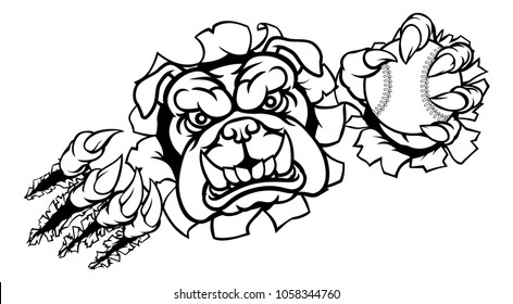 A bulldog angry animal sports mascot holding a baseball ball and breaking through the background with its claws