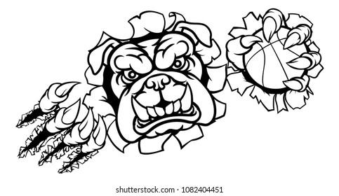 A bulldog angry animal sports mascot holding a basketball ball and breaking through the background with its claws