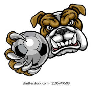 A bulldog angry animal sports mascot holding a soccer football ball