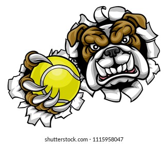 A bulldog angry animal sports mascot holding a tennis ball and breaking through the background with its claws