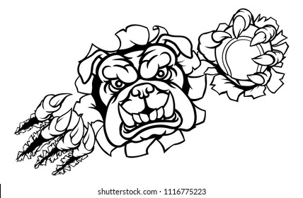 A bulldog angry animal sports mascot holding a tennis ball and breaking through the background with its claws