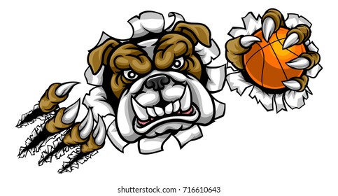 A bulldog angry animal sports mascot holding a basketball ball and breaking through the background with its claws