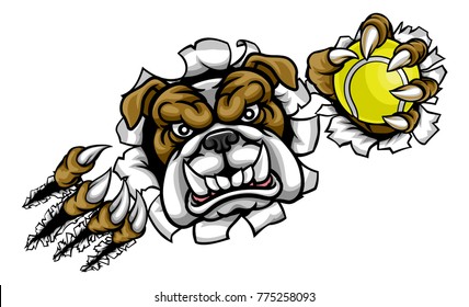 A bulldog angry animal sports mascot holding a tennis ball and breaking through the background with its claws