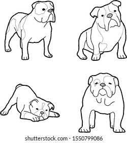 Bulldog Animal Vector Illustration Hand Drawn Stock Vector (Royalty ...