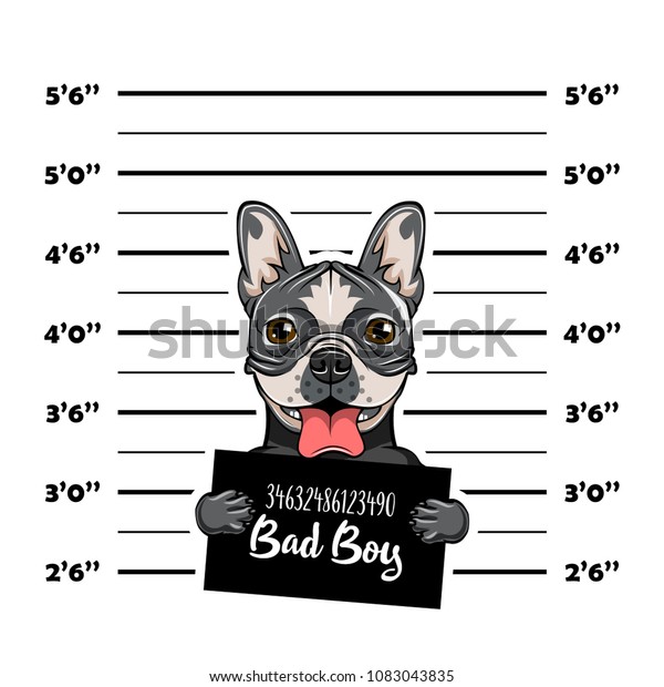 Stock Vektor Bulldog Bad Boy Dog Prison Police Bez Autorskych Poplatku 1083043835