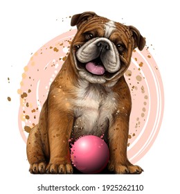 Bulldog with the ball. Wall sticker. Color, graphic portrait of an English bulldog in watercolor style on a white background. Separate layers. Digital vector graphics.