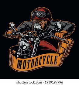 Emblema vintage colorido de la motocicleta Bulldog biker perro serio con casco de moto guantes y chaqueta motocicleta aislado ilustración vectorial