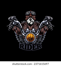 Bulldog biker with a helmet illustration