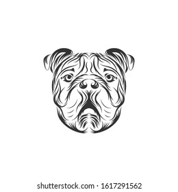 Bulldog black vector icon logo illustration