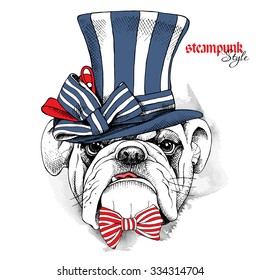 Bulldog in a blue striped steampunk top hat and with bow. Vector illustration.