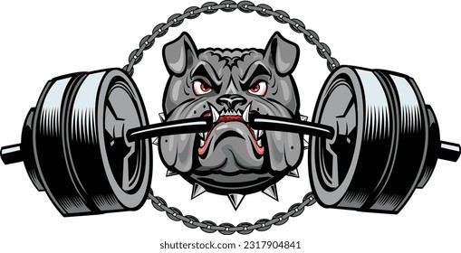 Bulldog bodybuilder for weight training