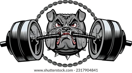 Bulldog bodybuilder for weight training