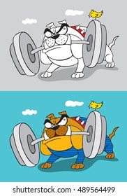 Bulldog bodybuilding