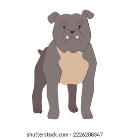 Bulldog breed of canine animal, isolated portrait of puppy character. Doggo personage, cute pup. Domestic pet, mammal with sturdy smooth hair. Vector in flat style