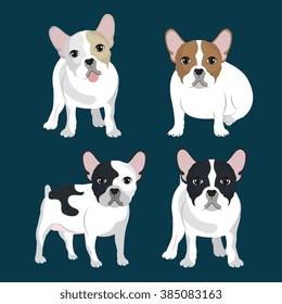 bulldog breed design 