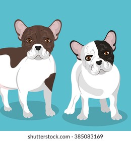 bulldog breed design 