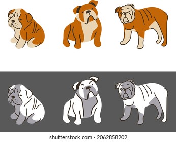 Bulldog breed, dog pedigree drawing. Cute dogs characters various poses, design for prints, adorable and cute english bulldog cartoon vector set. Pose , domestic pet illustration for logo, patterns