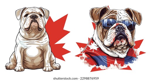 A bulldog in canada day.Illustration of T-shirt design graphic.	
