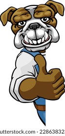 A bulldog cartoon animal mascot gardener, carpenter, handyman, decorator or builder construction worker peeking around a sign and giving a thumbs up