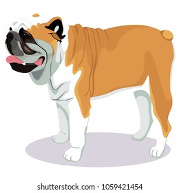 Bulldog cartoon dog