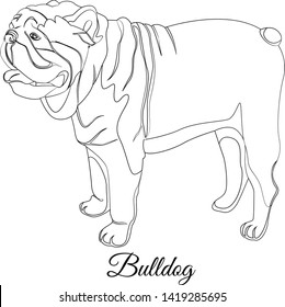 Bulldog cartoon dog outline vector illustration