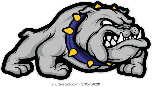 BULLDOG CARTOON ILLUSTRATION VECTOR DESIGN