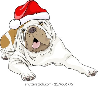 Perro Bulldog tarjeta de Navidad en Santa Claus perro de ilustración vectorial de sombrero rojo