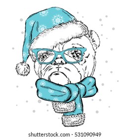 Bulldog in a Christmas hat and sunglasses. Vector illustration for a card or poster. Print on clothes. Cute puppy. Pedigree dog. Winter holidays. New Year's and Christmas.